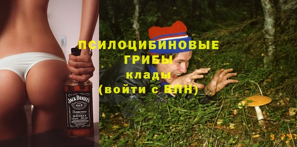стафф Губаха