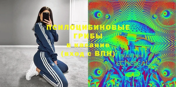 трава Осташков
