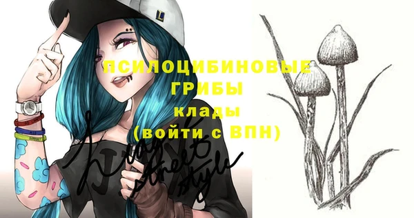 2c-b Нязепетровск