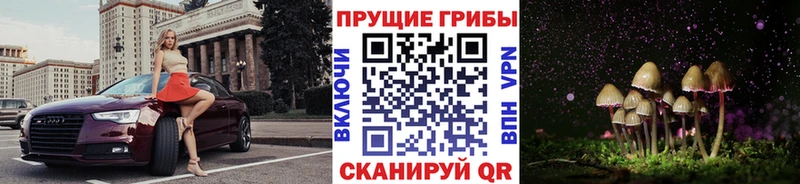 Галлюциногенные грибы Psilocybine cubensis  Опочка 
